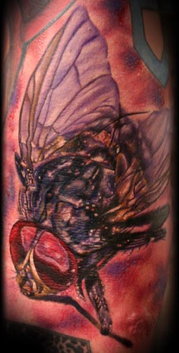 Tattoos - Nature Animal Insect tattoos - Realistic Fly